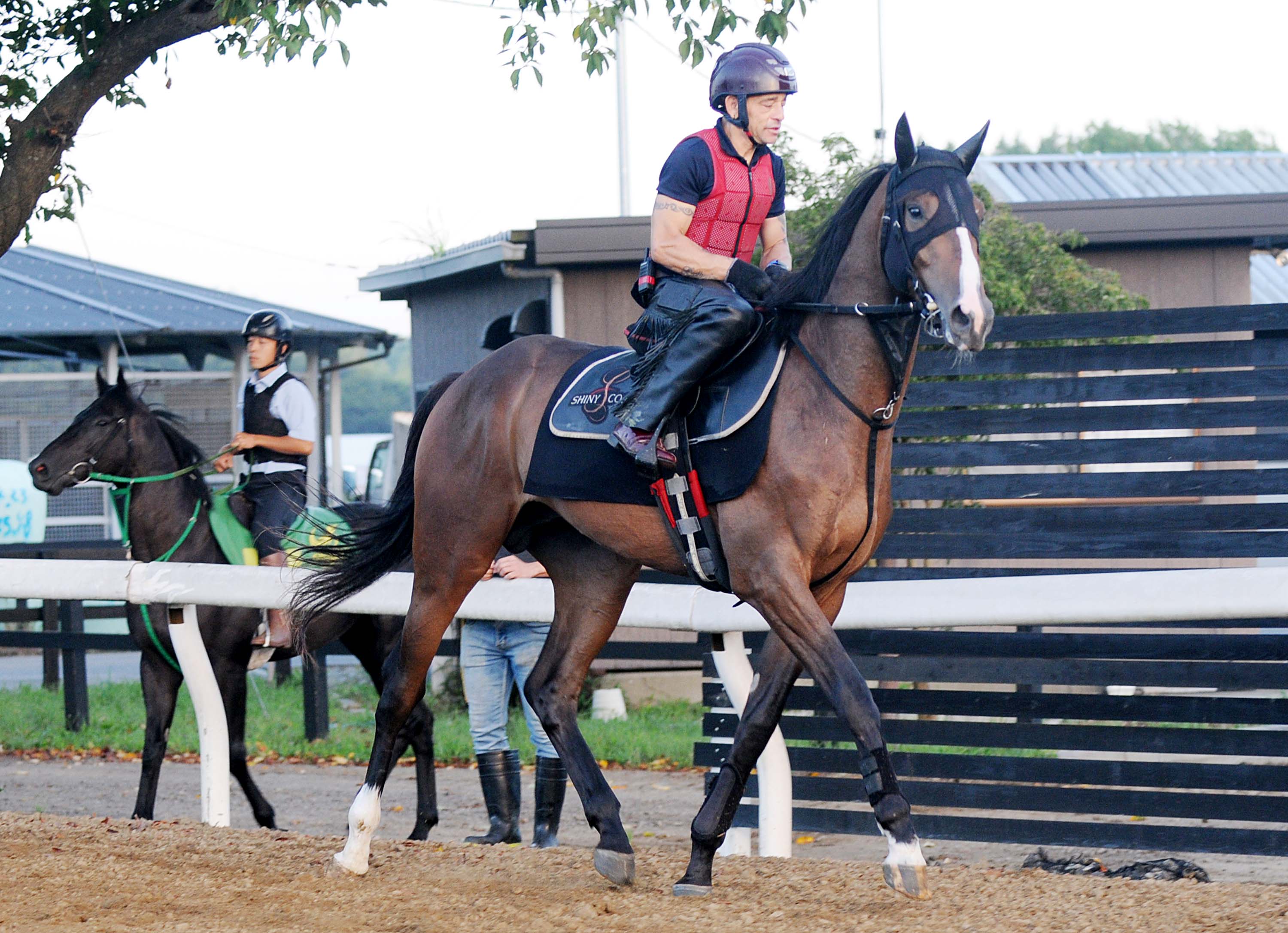 フェルトーソ