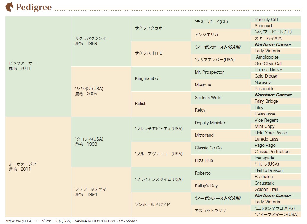 血統表