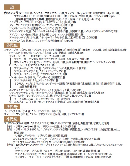 ブラックタイプ