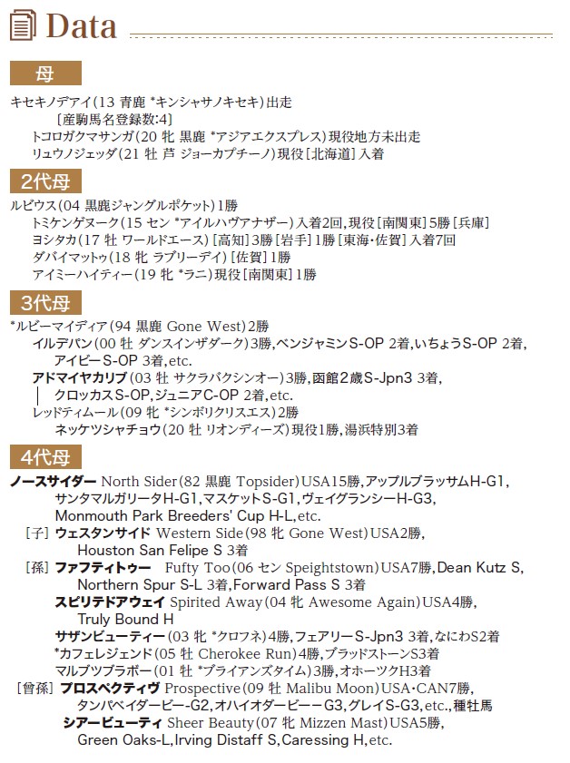ブラックタイプ