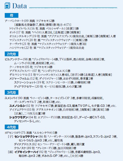 ブラックタイプ