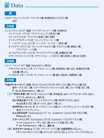 ブラックタイプ