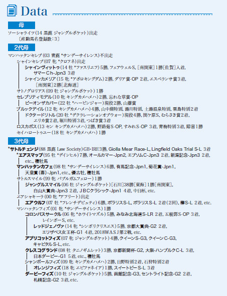 ブラックタイプ