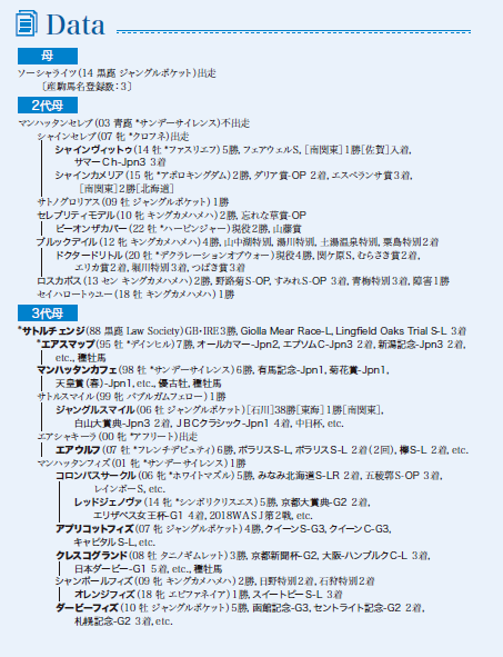 ブラックタイプ