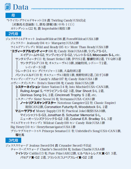 ブラックタイプ