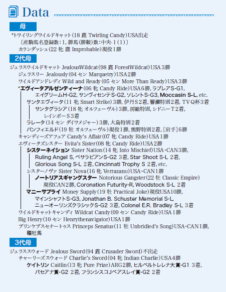 ブラックタイプ