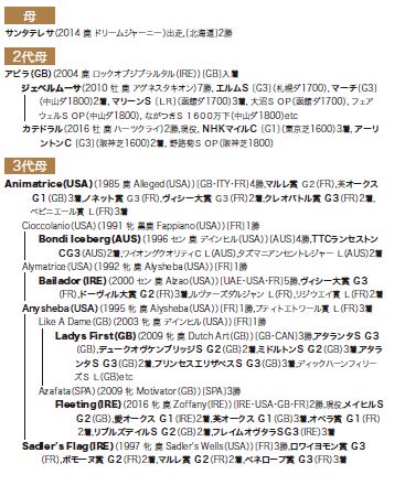 ブラックタイプ