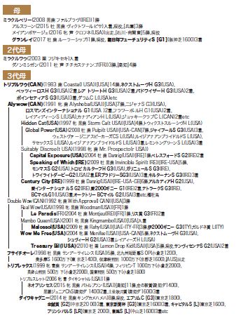 ブラックタイプ