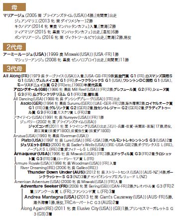ブラックタイプ