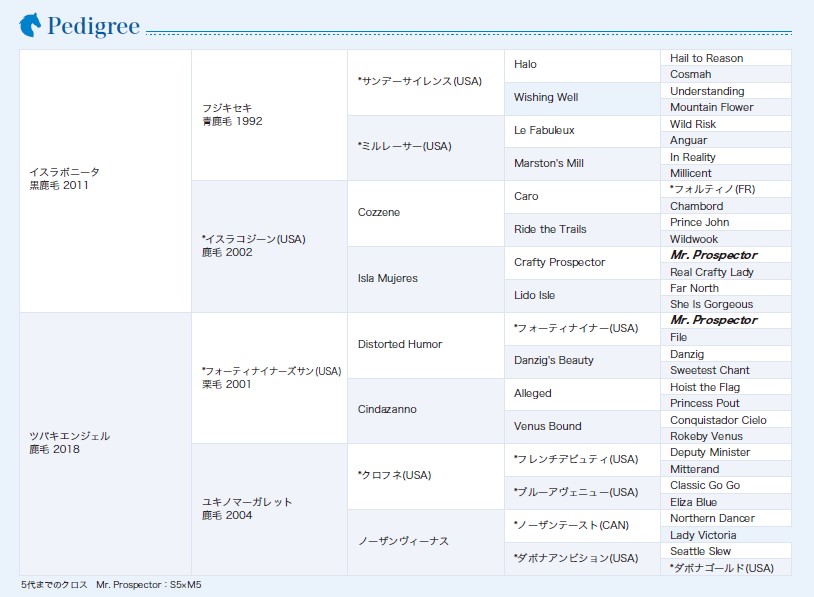 血統表