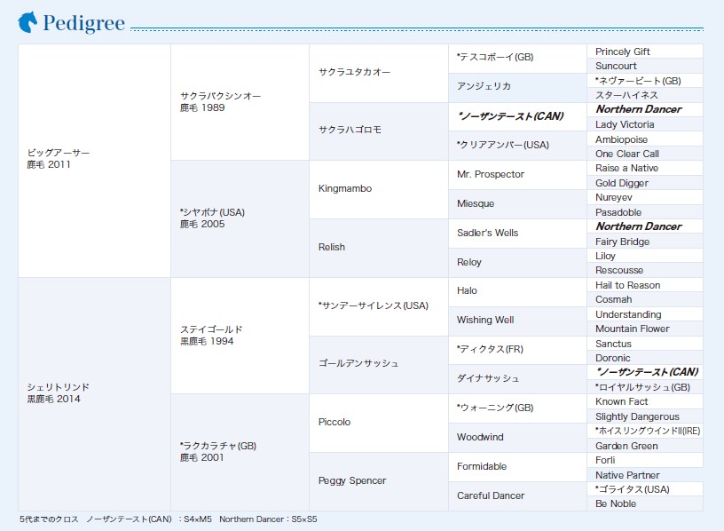 血統表