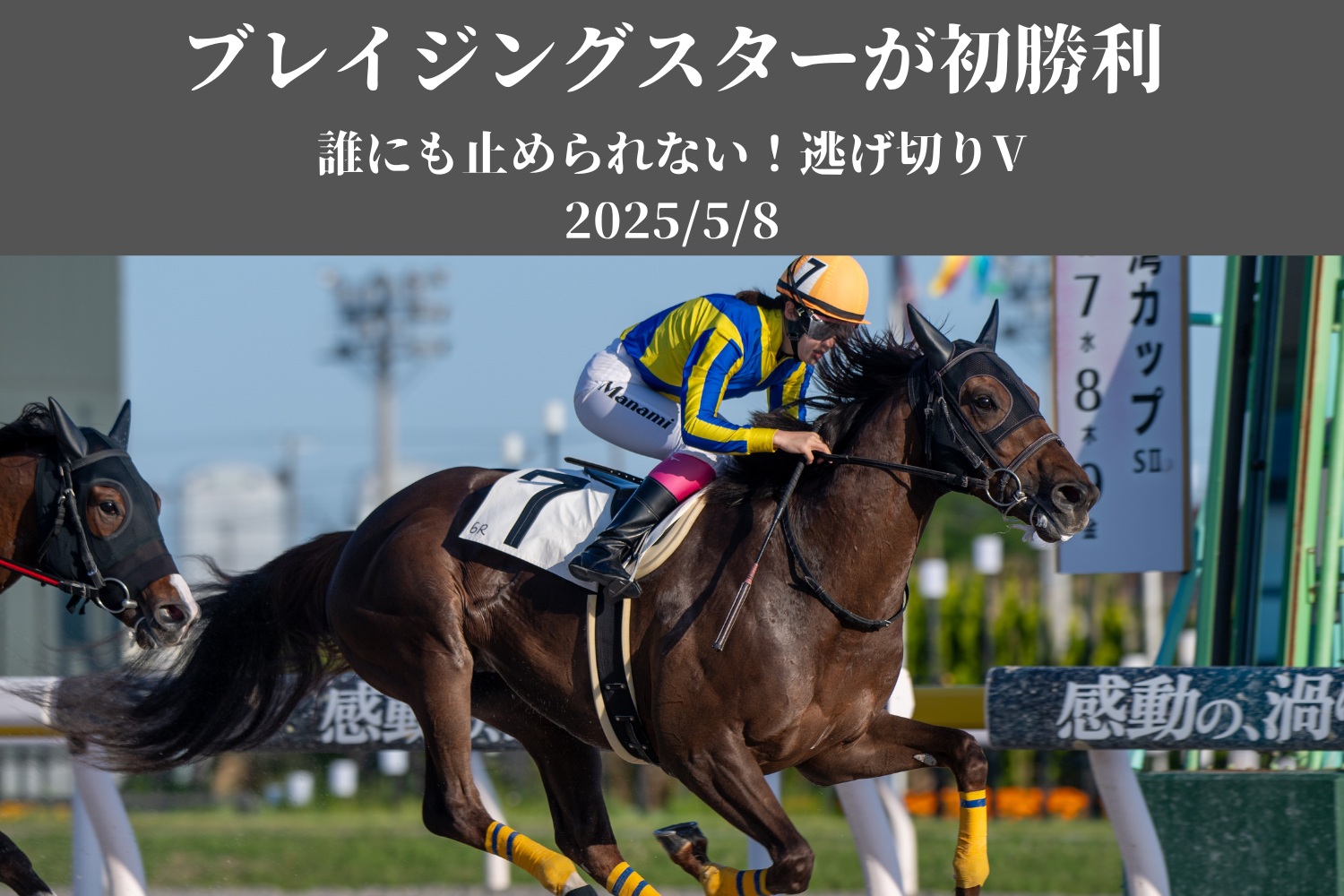 出走馬情報：JRA70周年記念 京都大賞典 今週の注目レース JRA