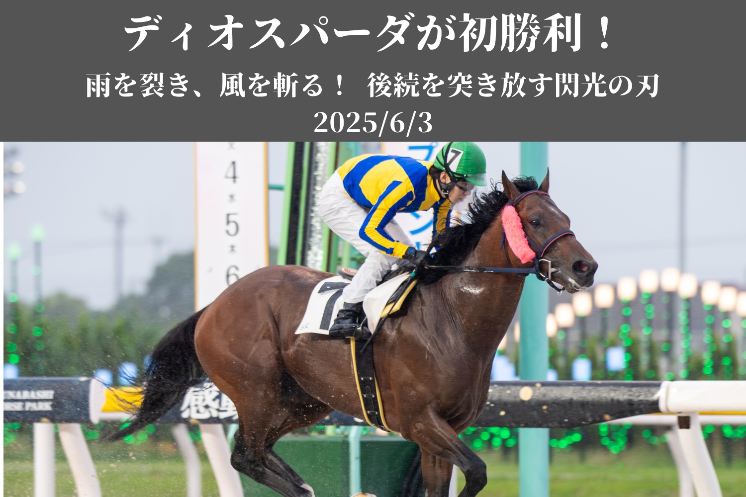 出走馬情報：JRA70周年記念 京都大賞典 今週の注目レース JRA